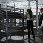 Donald Trump visita un controvertido centro de detención migratoria en los Everglades, conocido como "Alcatraz de los caimanes", desatando críticas por su dureza e impacto ambiental. La instalación albergará hasta 5.000 migrantes ilegales en un entorno rodeado de caimanes y pantanos.